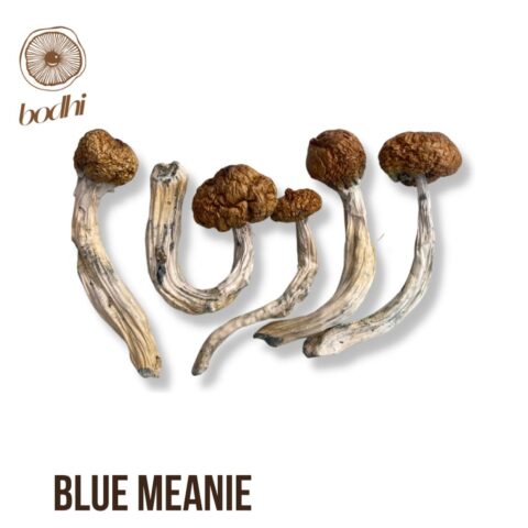 Blue Meanie