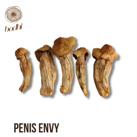 Penis Envy