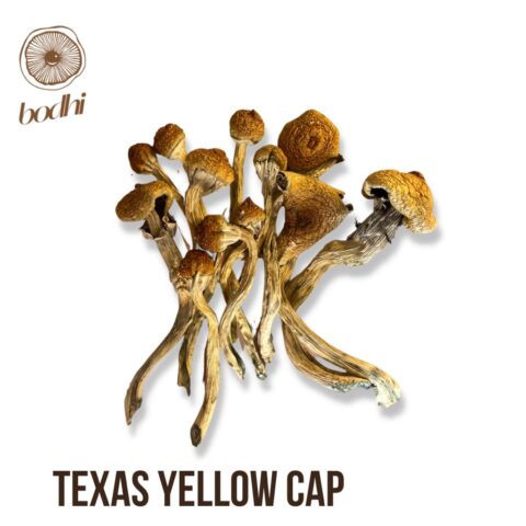 Texas Yellow Cap