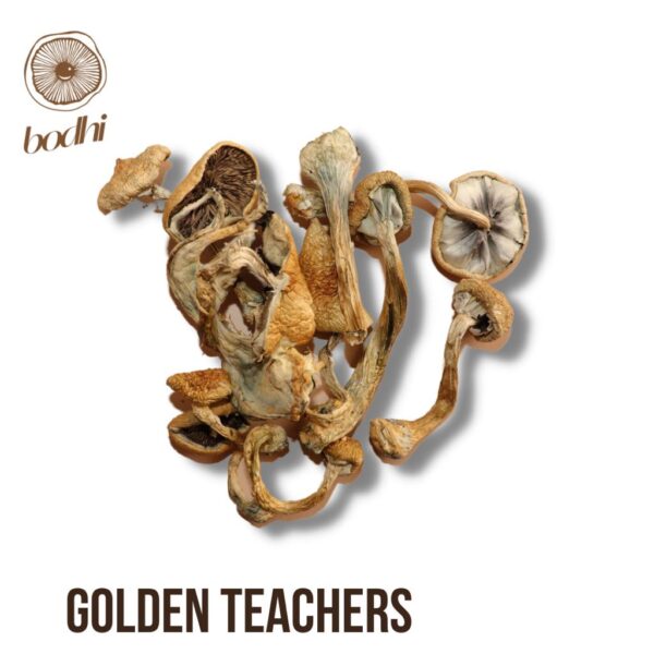 Golden Teachers