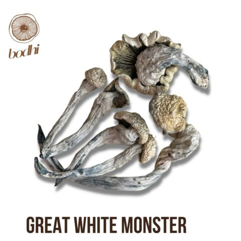 Great White Monster