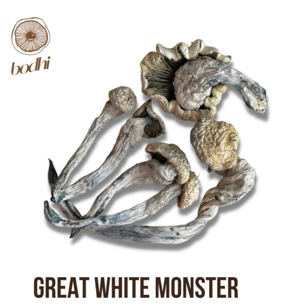 Great White Monster