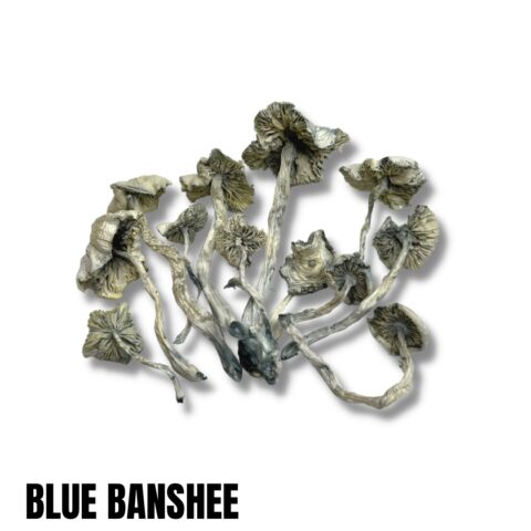 Blue Banshee
