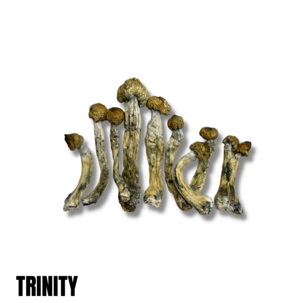 Trinity Magic Mushrooms