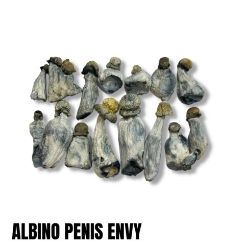Albino Penis envy