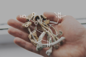 Psilocybin Online